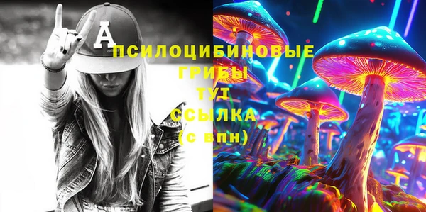 дурь Михайловка