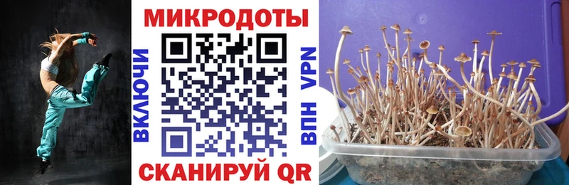 Галлюциногенные грибы прущие грибы Шиханы